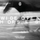McMorrow, James Vincent: Wide Open, Horses [CD]