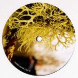 Thibideau, Matt: Subduction & Shadows [12", vinyle jaune clair]