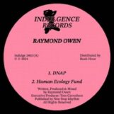 Owen, Raymond: Detachment EP [12"]